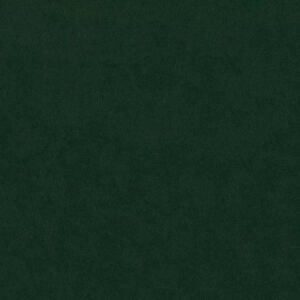 Ciemny zielony - Riviera 38