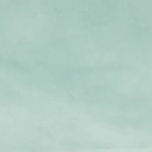 Seledynowy (Magic Velvet 2227)