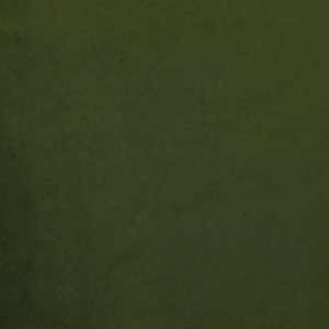 Zielony (Magic Velvet 2295)