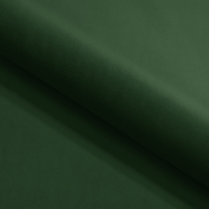 Zielony (Riviera 38)