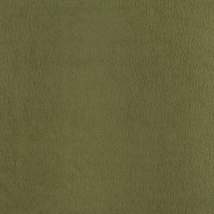 Oliwkowy (Velo 629)